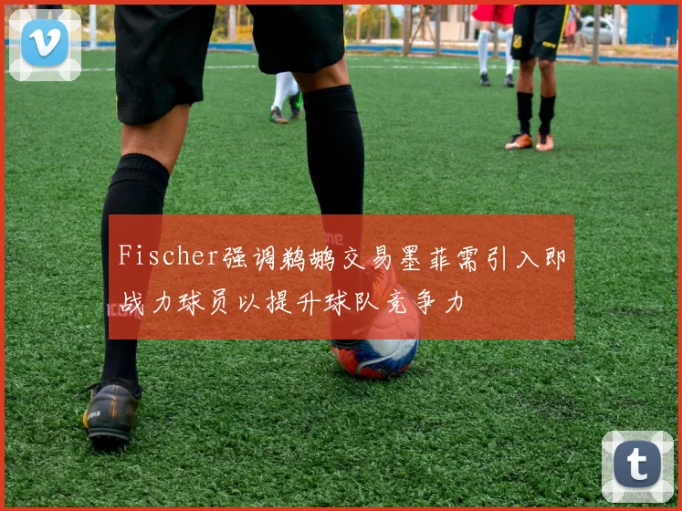 Fischer强调鹈鹕交易墨菲需引入即战力球员以提升球队竞争力
