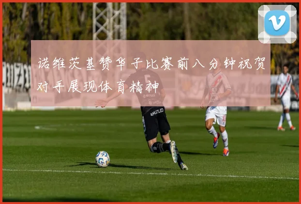 诺维茨基赞华子比赛前八分钟祝贺对手展现体育精神